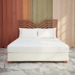 Bedsheet Set-Super King-1 Bed Sheet-and-2-Pillowcases-Cotton-TENCEL-300 TC-1