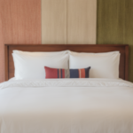Duvet Cover King size Twin Cotton TENCEL 300 TC-1